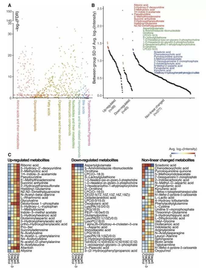  Significantly altered metabolites across the progression of CKD.